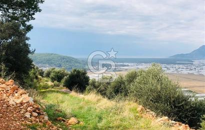 CB GİZ'DEN KAŞ YEŞİLKÖY'DE SATILIK DENİZ MANZARALI 2B ZEYTİNLİK