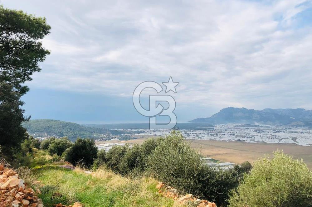 CB GİZ'DEN KAŞ YEŞİLKÖY'DE SATILIK DENİZ MANZARALI 2B ZEYTİNLİK