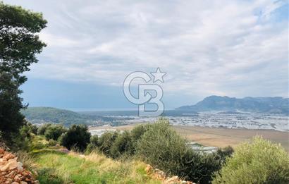 CB GİZ'DEN KAŞ YEŞİLKÖY'DE SATILIK DENİZ MANZARALI 2B ZEYTİNLİK