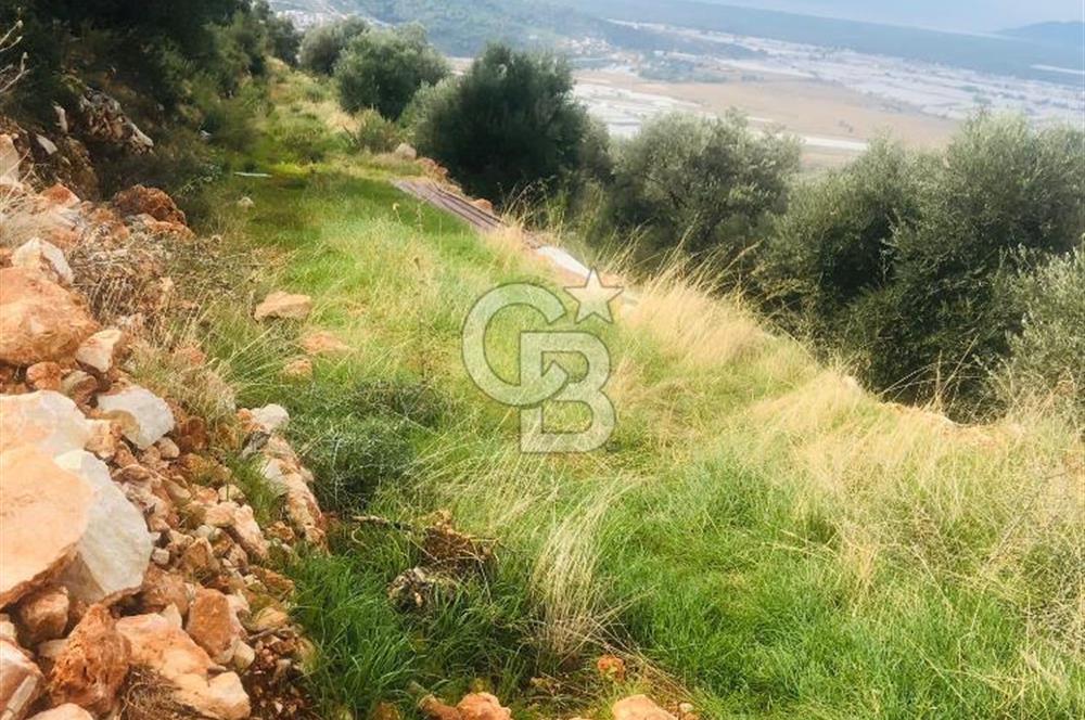 CB GİZ'DEN KAŞ YEŞİLKÖY'DE SATILIK DENİZ MANZARALI 2B ZEYTİNLİK