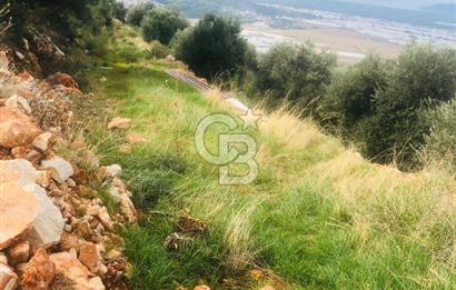 CB GİZ'DEN KAŞ YEŞİLKÖY'DE SATILIK DENİZ MANZARALI 2B ZEYTİNLİK