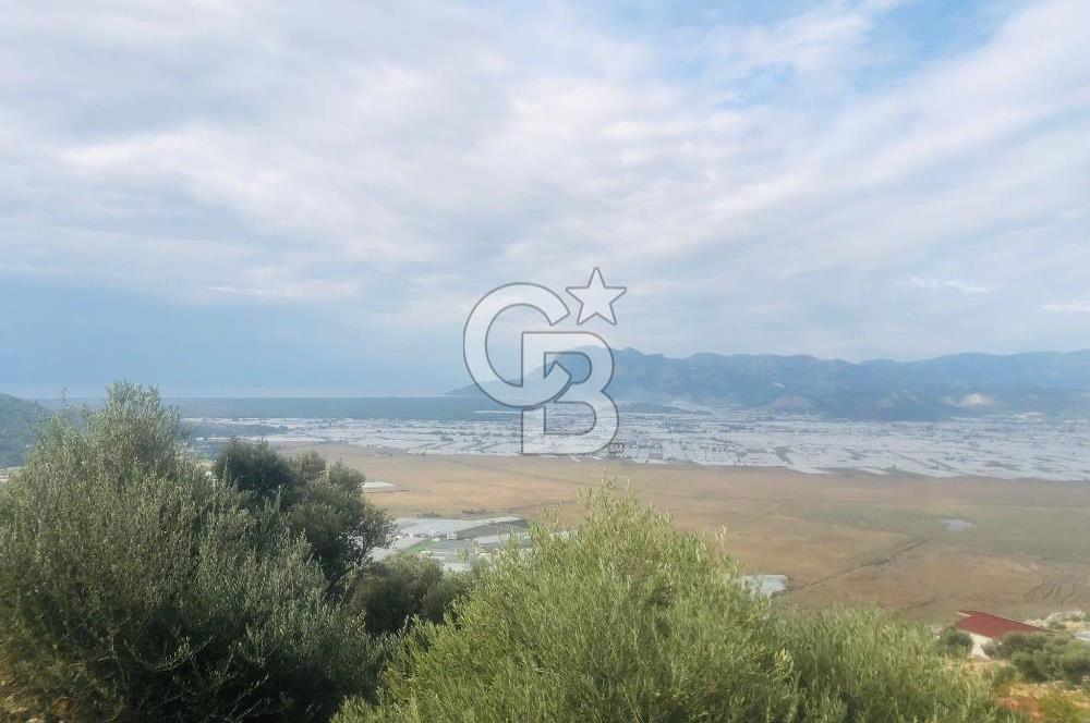 CB GİZ'DEN KAŞ YEŞİLKÖY'DE SATILIK DENİZ MANZARALI 2B ZEYTİNLİK