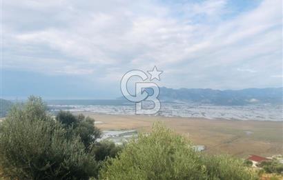 CB GİZ'DEN KAŞ YEŞİLKÖY'DE SATILIK DENİZ MANZARALI 2B ZEYTİNLİK