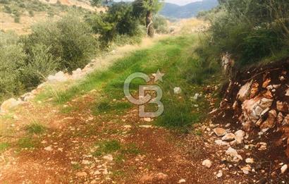 CB GİZ'DEN KAŞ YEŞİLKÖY'DE SATILIK DENİZ MANZARALI 2B ZEYTİNLİK