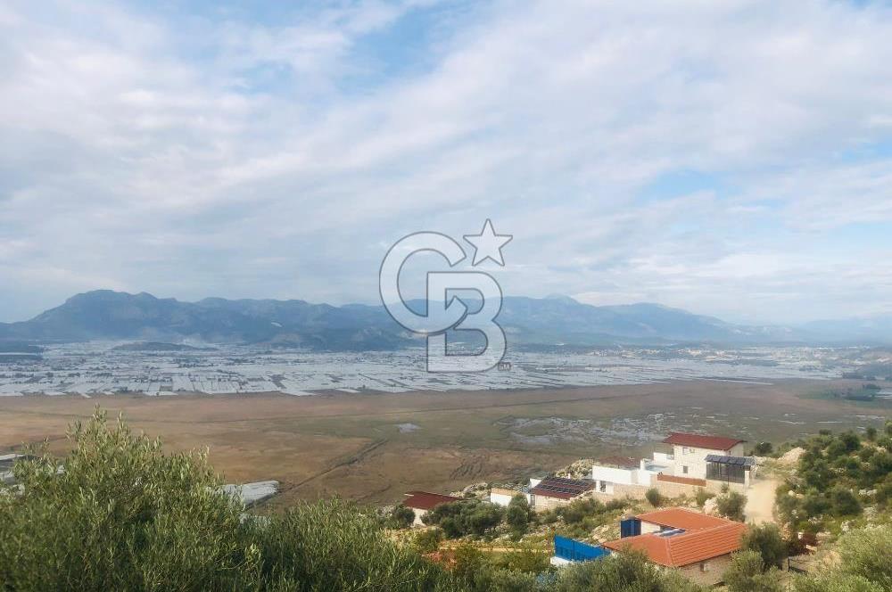 CB GİZ'DEN KAŞ YEŞİLKÖY'DE SATILIK DENİZ MANZARALI 2B ZEYTİNLİK