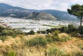 CB GİZ'DEN KAŞ YEŞİLKÖY'DE SATILIK 2B ZEYTİNLİK - 3 - 319353