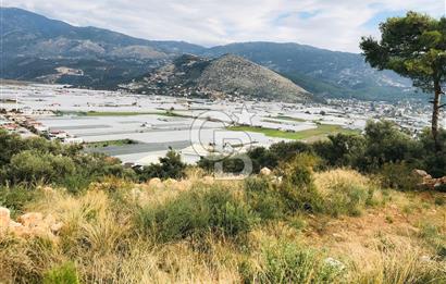 CB GİZ'DEN KAŞ YEŞİLKÖY'DE SATILIK 2B ZEYTİNLİK