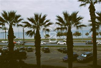 CB YALIDAN İZMİR GÖZTEPEDE SATILIK YALI DAİRESİ - 1 - 319370