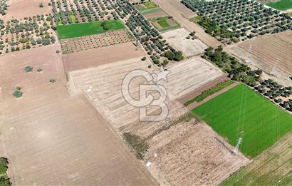 MUĞLA MİLAS BAHÇEYENİ HAVALİMANI YAKINI BÜYÜK PARÇA TARLA