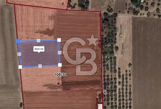 MUĞLA MİLAS BAHÇEYENİ DE HAVALİMANI YAKINI MUHTEŞEM TARLA - 1 - 319341