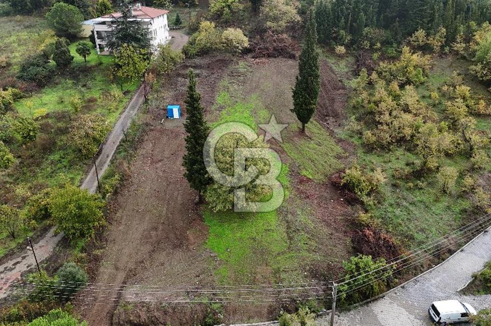 CB Elexus | Karamürsel Dereköy'de Doğa Manzaralı İmarlı Arsa