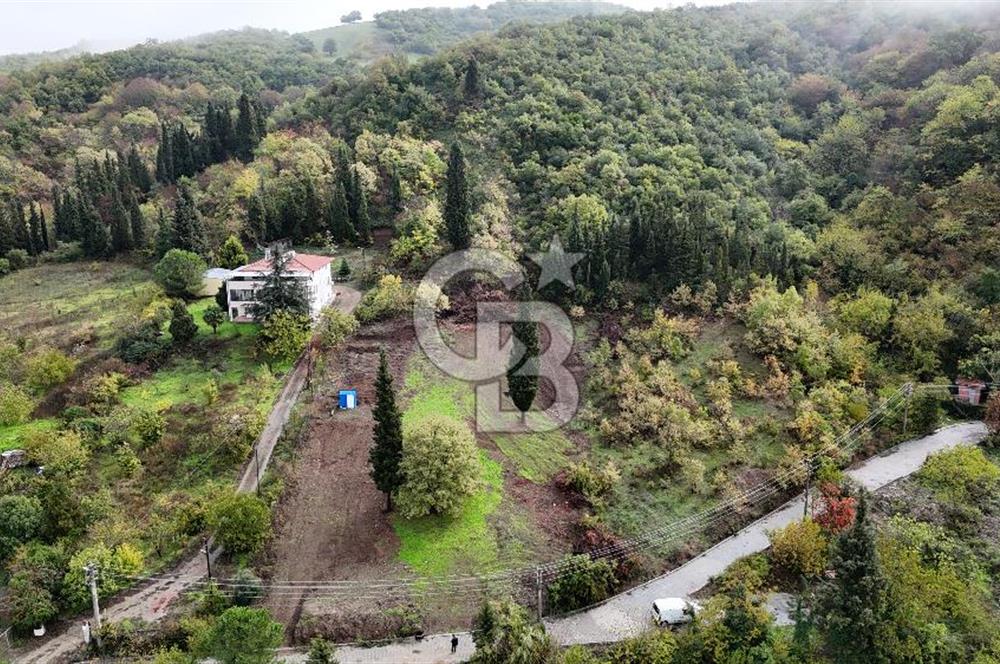 CB Elexus | Karamürsel Dereköy'de Doğa Manzaralı İmarlı Arsa