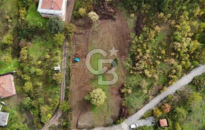 CB Elexus | Karamürsel Dereköy'de Doğa Manzaralı İmarlı Arsa