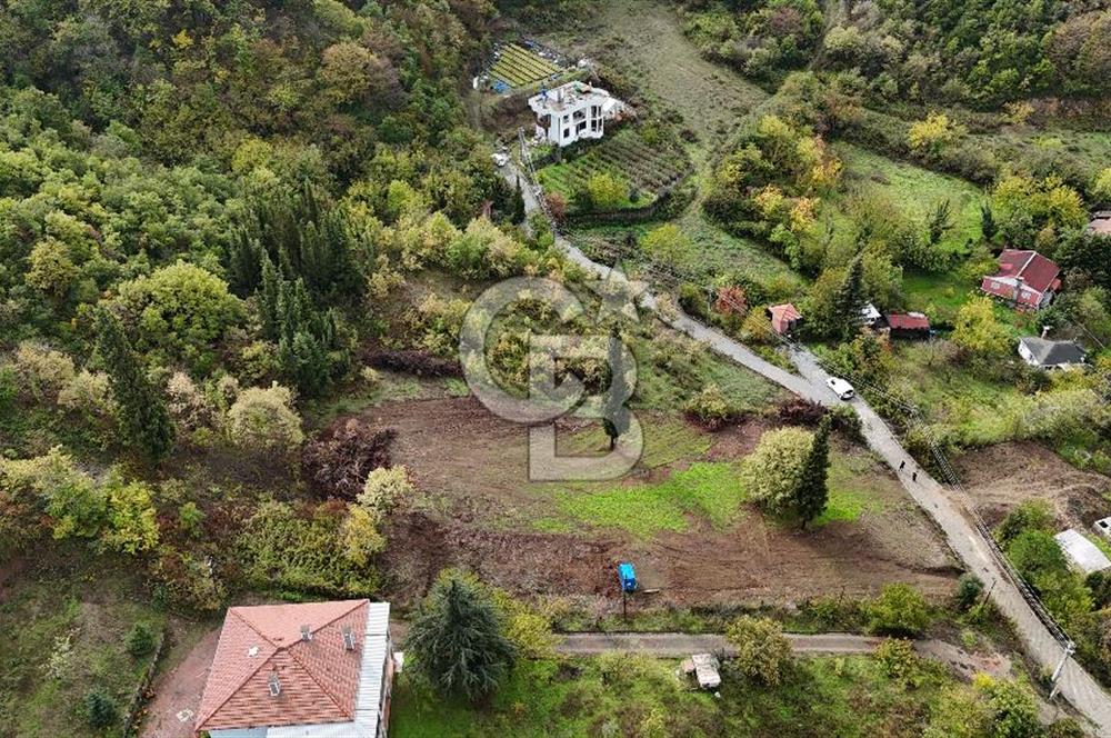 CB Elexus | Karamürsel Dereköy'de Doğa Manzaralı İmarlı Arsa