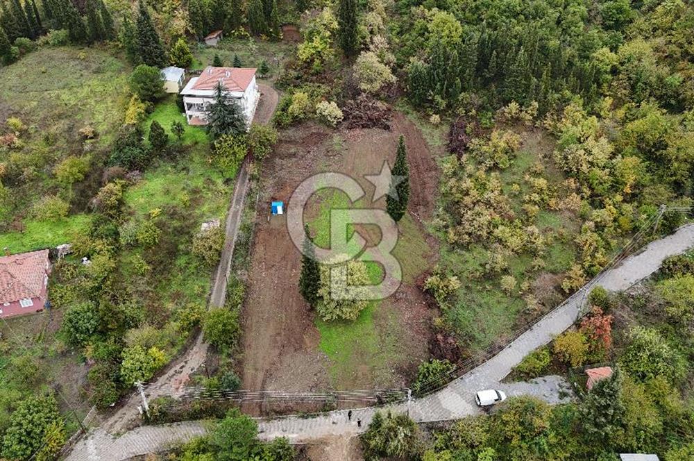 CB Elexus | Karamürsel Dereköy'de Doğa Manzaralı İmarlı Arsa