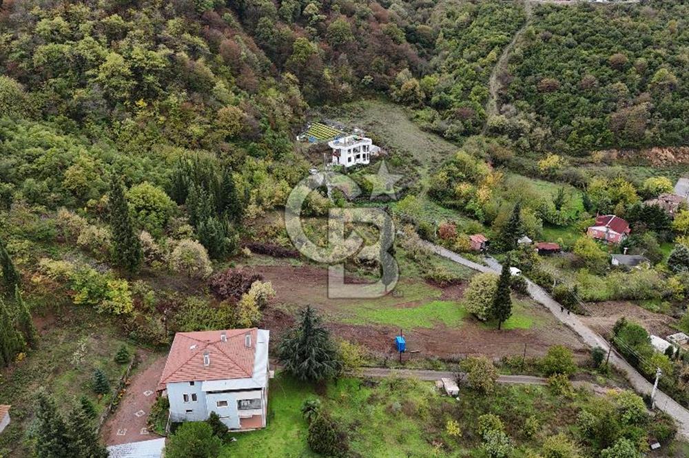 CB Elexus | Karamürsel Dereköy'de Doğa Manzaralı İmarlı Arsa