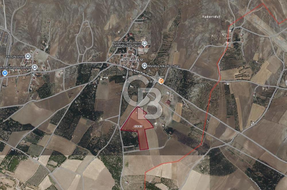 COLDWELL BANKER SAFİR'den BULGURLU da ACİL SATILIK TARLA