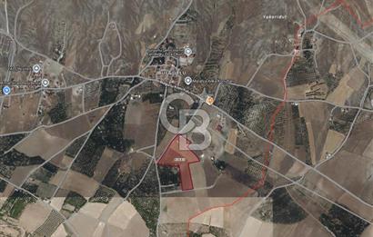 COLDWELL BANKER SAFİR'den BULGURLU da ACİL SATILIK TARLA