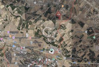 COLDWELL BANKER SAFİR'den BULGURLU da ACİL SATILIK TARLA - 1 - 319414