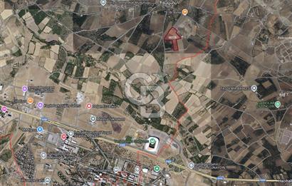 COLDWELL BANKER SAFİR'den BULGURLU da ACİL SATILIK TARLA