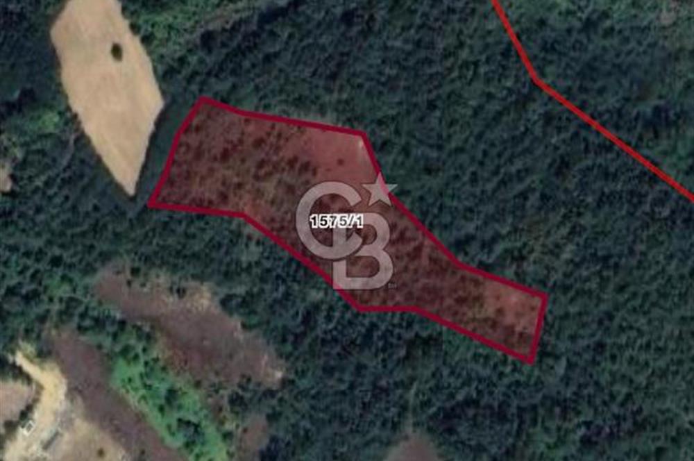 BARTIN AĞDACI! YATIRIM FIRSATI! SATILIK KUPON ARAZİ! 