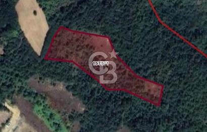 BARTIN AĞDACI! YATIRIM FIRSATI! SATILIK KUPON ARAZİ! 