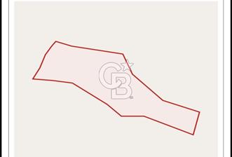 BARTIN AĞDACI! YATIRIM FIRSATI! SATILIK KUPON ARAZİ!  - 1 - 319417