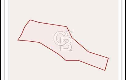 BARTIN AĞDACI! YATIRIM FIRSATI! SATILIK KUPON ARAZİ! 