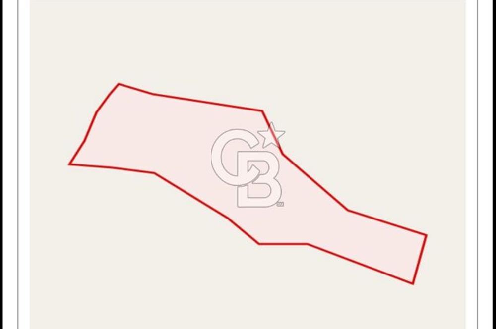 BARTIN AĞDACI! YATIRIM FIRSATI! SATILIK KUPON ARAZİ! 