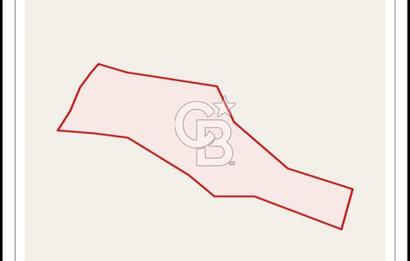 BARTIN AĞDACI! YATIRIM FIRSATI! SATILIK KUPON ARAZİ! 