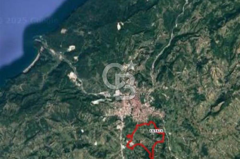 BARTIN AĞDACI! YATIRIM FIRSATI! SATILIK KUPON ARAZİ! 