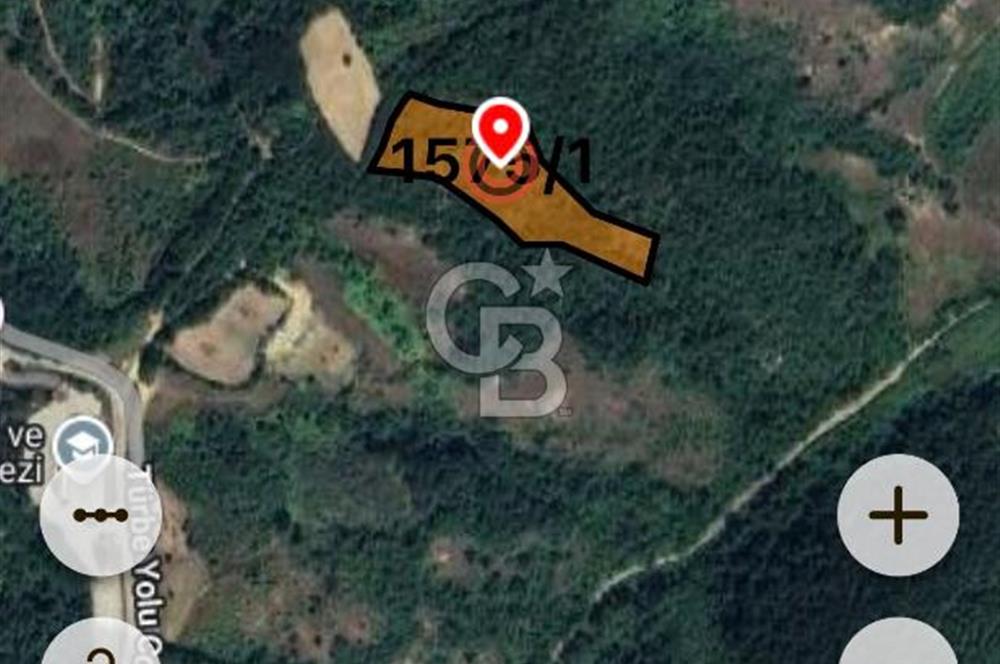 BARTIN AĞDACI! YATIRIM FIRSATI! SATILIK KUPON ARAZİ! 