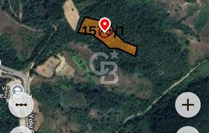 BARTIN AĞDACI! YATIRIM FIRSATI! SATILIK KUPON ARAZİ! 