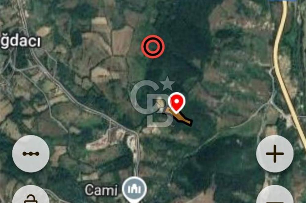 BARTIN AĞDACI! YATIRIM FIRSATI! SATILIK KUPON ARAZİ! 