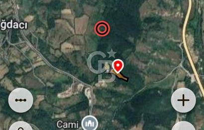 BARTIN AĞDACI! YATIRIM FIRSATI! SATILIK KUPON ARAZİ! 