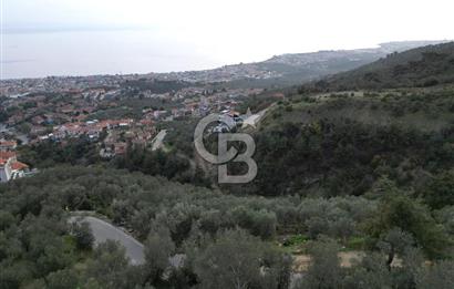 ALTINOLUK'TA, LEBİ DERYA DENİZ MANZARALI,15/30 VİLLA İMARLI ARSA