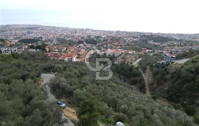 ALTINOLUK'TA, LEBİ DERYA DENİZ MANZARALI,15/30 VİLLA İMARLI ARSA