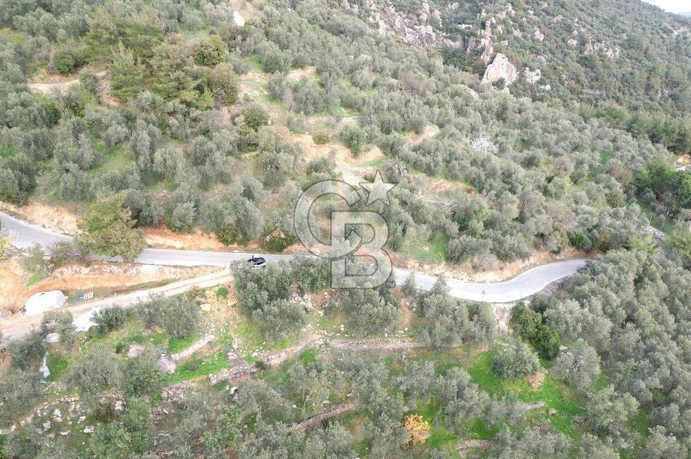 ALTINOLUK'TA, LEBİ DERYA DENİZ MANZARALI,15/30 VİLLA İMARLI ARSA