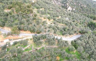 ALTINOLUK'TA, LEBİ DERYA DENİZ MANZARALI,15/30 VİLLA İMARLI ARSA