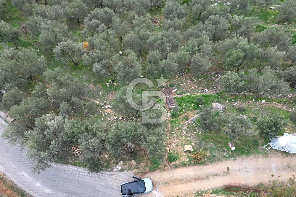 ALTINOLUK'TA, LEBİ DERYA DENİZ MANZARALI,15/30 VİLLA İMARLI ARSA