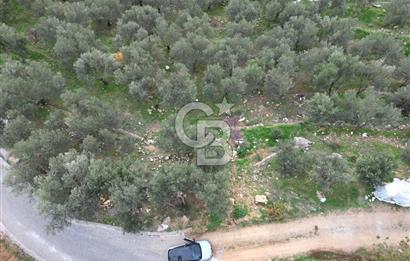 ALTINOLUK'TA, LEBİ DERYA DENİZ MANZARALI,15/30 VİLLA İMARLI ARSA