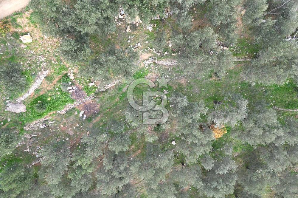 ALTINOLUK'TA, LEBİ DERYA DENİZ MANZARALI,15/30 VİLLA İMARLI ARSA