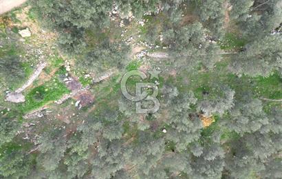 ALTINOLUK'TA, LEBİ DERYA DENİZ MANZARALI,15/30 VİLLA İMARLI ARSA