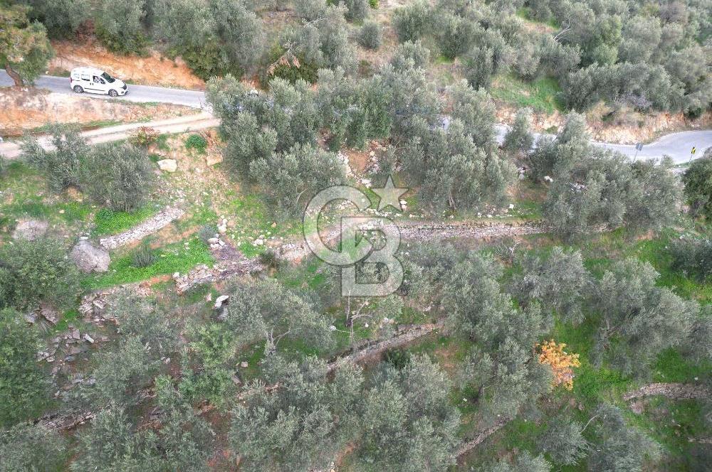 ALTINOLUK'TA, LEBİ DERYA DENİZ MANZARALI,15/30 VİLLA İMARLI ARSA