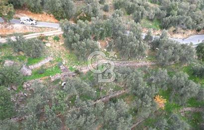 ALTINOLUK'TA, LEBİ DERYA DENİZ MANZARALI,15/30 VİLLA İMARLI ARSA