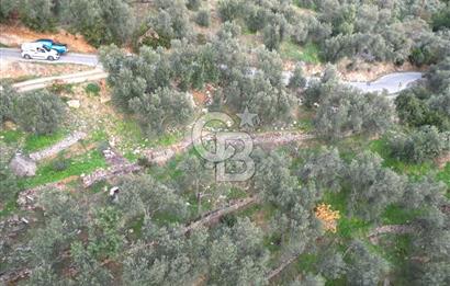 ALTINOLUK'TA, LEBİ DERYA DENİZ MANZARALI,15/30 VİLLA İMARLI ARSA