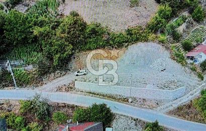 CB Elexus | Sakarya Geyve'de 1.076m2 %40 imarlı Tarla