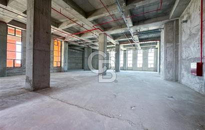 CB ONKO'dan Hadımköy Deliklikaya'da Satılık Fabrika Katları