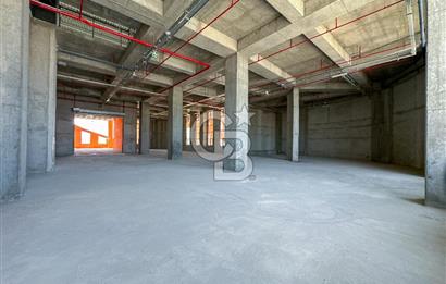 CB ONKO'dan Hadımköy Deliklikaya'da Satılık Fabrika Katları