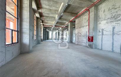 CB ONKO'dan Hadımköy Deliklikaya'da Satılık Fabrika Katları